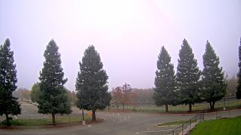 Weather camera view of Pleasanton MS.