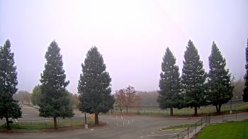 Weather camera view of Pleasanton MS.