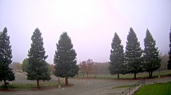 Weather camera view of Pleasanton MS.