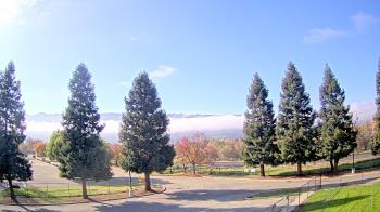 Weather camera view of Pleasanton MS.