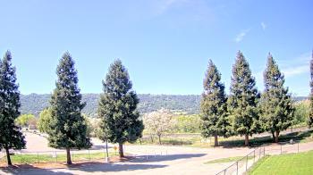 Weather camera view of Pleasanton MS.