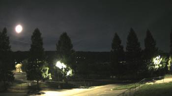 Weather camera view of Pleasanton MS.