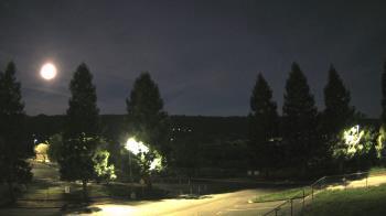 Weather camera view of Pleasanton MS.
