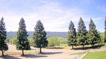 Weather camera view of Pleasanton MS.