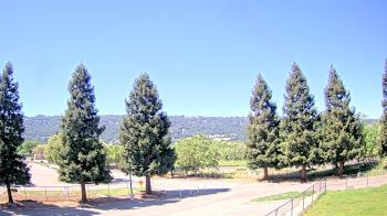 Weather camera view of Pleasanton MS.