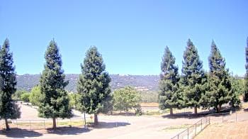 Weather camera view of Pleasanton MS.
