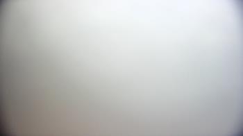 Weather camera view of Cardinal Ormond Lifeguard Station 2.