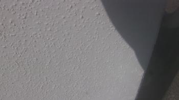 Weather camera view of Liberty ES.