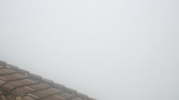 Weather camera view of Portofino Island Resort and Spa.