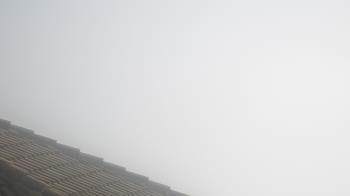 Weather camera view of Portofino Island Resort and Spa.