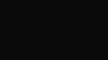 Weather camera view of Portofino Island Resort and Spa.