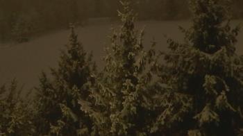 Weather camera view of Stuart Country Day School.