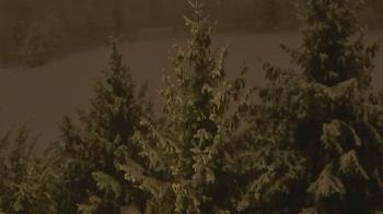 Weather camera view of Stuart Country Day School.