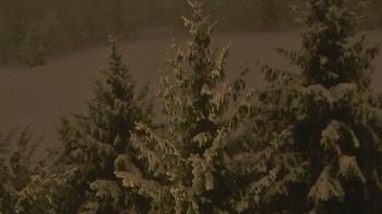 Weather camera view of Stuart Country Day School.