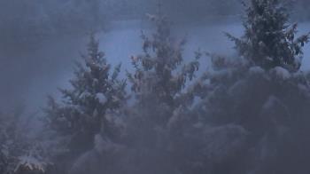 Weather camera view of Stuart Country Day School.