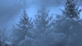 Weather camera view of Stuart Country Day School.