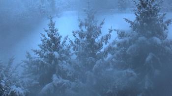 Weather camera view of Stuart Country Day School.