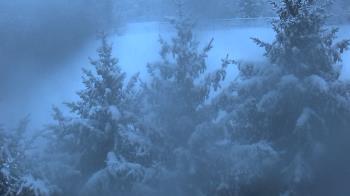 Weather camera view of Stuart Country Day School.