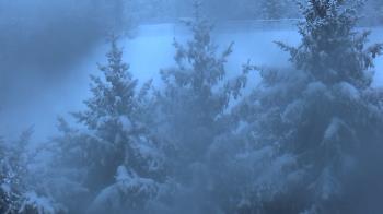 Weather camera view of Stuart Country Day School.