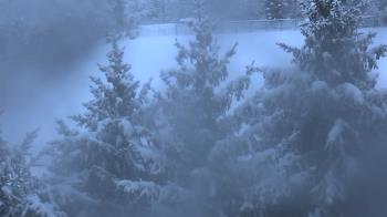 Weather camera view of Stuart Country Day School.