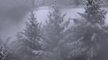 Weather camera view of Stuart Country Day School.