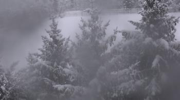 Weather camera view of Stuart Country Day School.