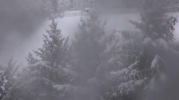 Weather camera view of Stuart Country Day School.