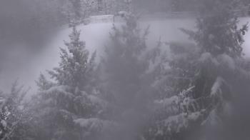 Weather camera view of Stuart Country Day School.