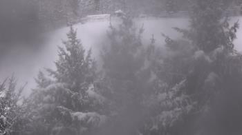 Weather camera view of Stuart Country Day School.