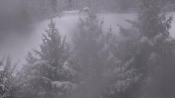 Weather camera view of Stuart Country Day School.