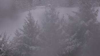 Weather camera view of Stuart Country Day School.