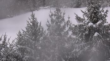 Weather camera view of Stuart Country Day School.