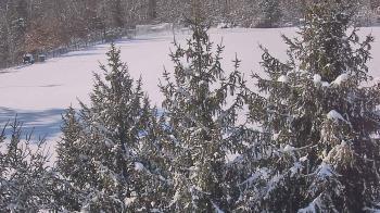 Weather camera view of Stuart Country Day School.