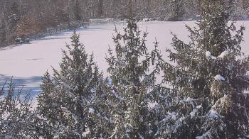 Weather camera view of Stuart Country Day School.