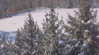 Weather camera view of Stuart Country Day School.