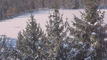 Weather camera view of Stuart Country Day School.