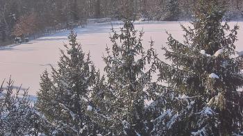 Weather camera view of Stuart Country Day School.