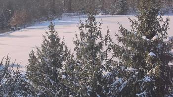 Weather camera view of Stuart Country Day School.