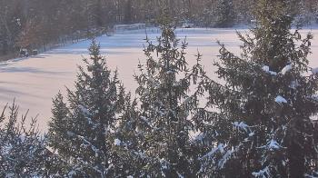 Weather camera view of Stuart Country Day School.