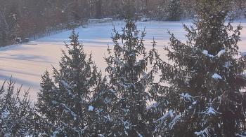 Weather camera view of Stuart Country Day School.