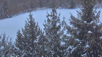 Weather camera view of Stuart Country Day School.