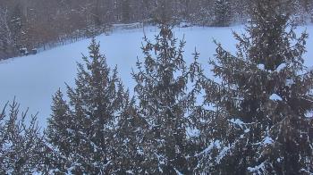 Weather camera view of Stuart Country Day School.