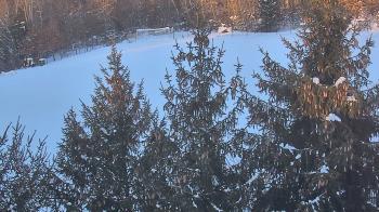 Weather camera view of Stuart Country Day School.