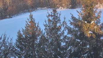 Weather camera view of Stuart Country Day School.