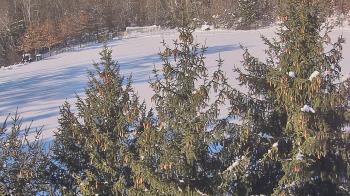 Weather camera view of Stuart Country Day School.