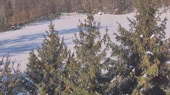 Weather camera view of Stuart Country Day School.