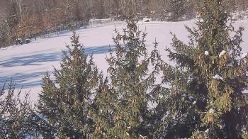 Weather camera view of Stuart Country Day School.