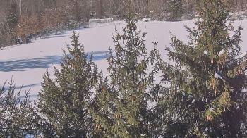 Weather camera view of Stuart Country Day School.