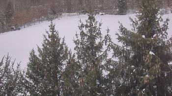 Weather camera view of Stuart Country Day School.