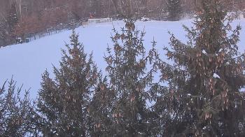 Weather camera view of Stuart Country Day School.